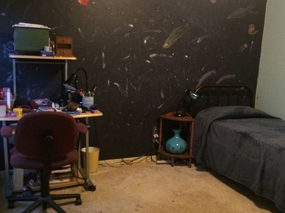 2nd bedroom, walk in closet