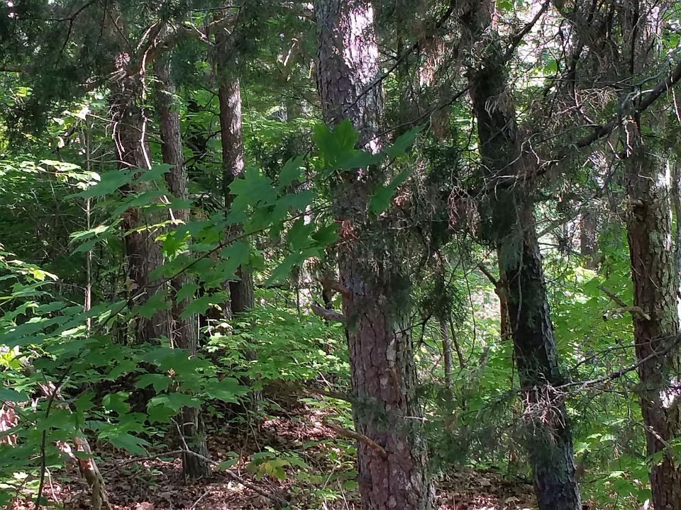 2nd image of 2 Nolin Park Rd