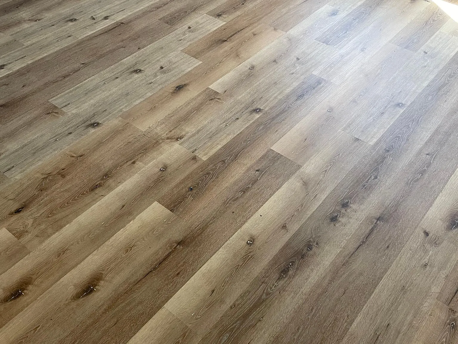 2 bed, $799 — Photo 2