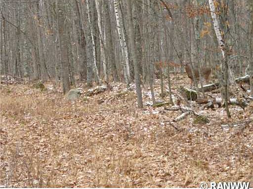 4th image of 0 Yarnell Road