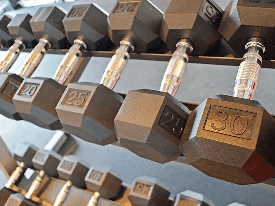Skip the Gym Membership!