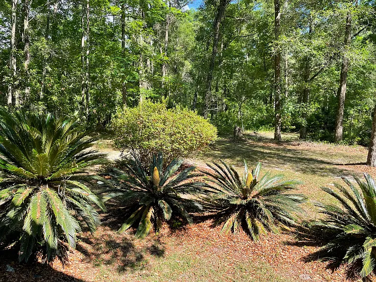 NW Old Fannin Rd — Photo 38