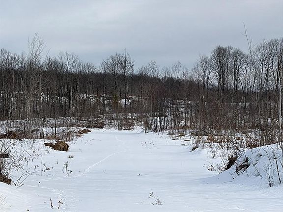 3rd image of ON Forest Drive