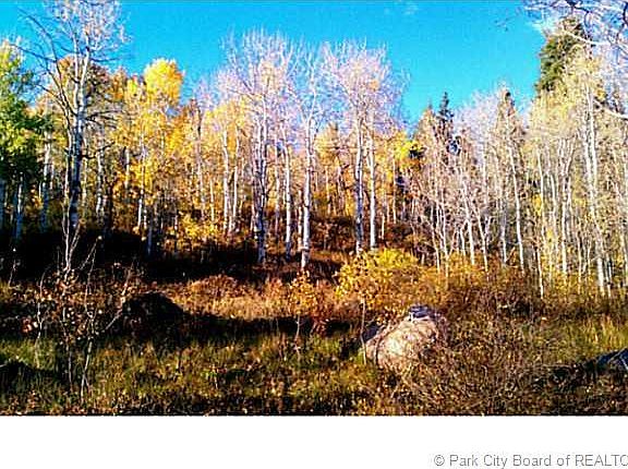 2nd image of 2090 S Pine Cir #Pi-d-17