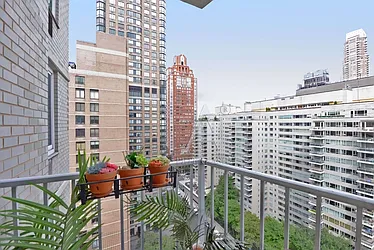 Rented by Peter Ashe