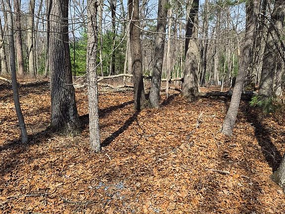 2nd image of 0 Dogwood Ln