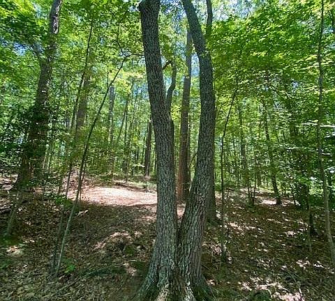 3rd image of LOT 14 Roanoke Bnd