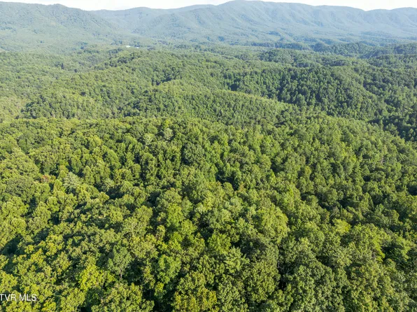 Patty Branch Rd, Bristol, TN 37620