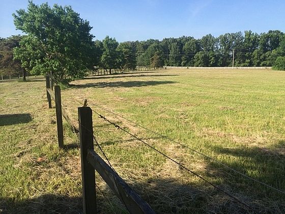 2nd image of 482-b Gluckstadt Road