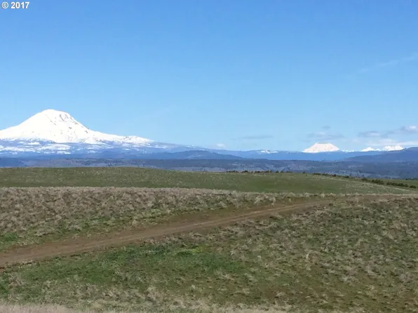 Festus, Goldendale, WA 98620
