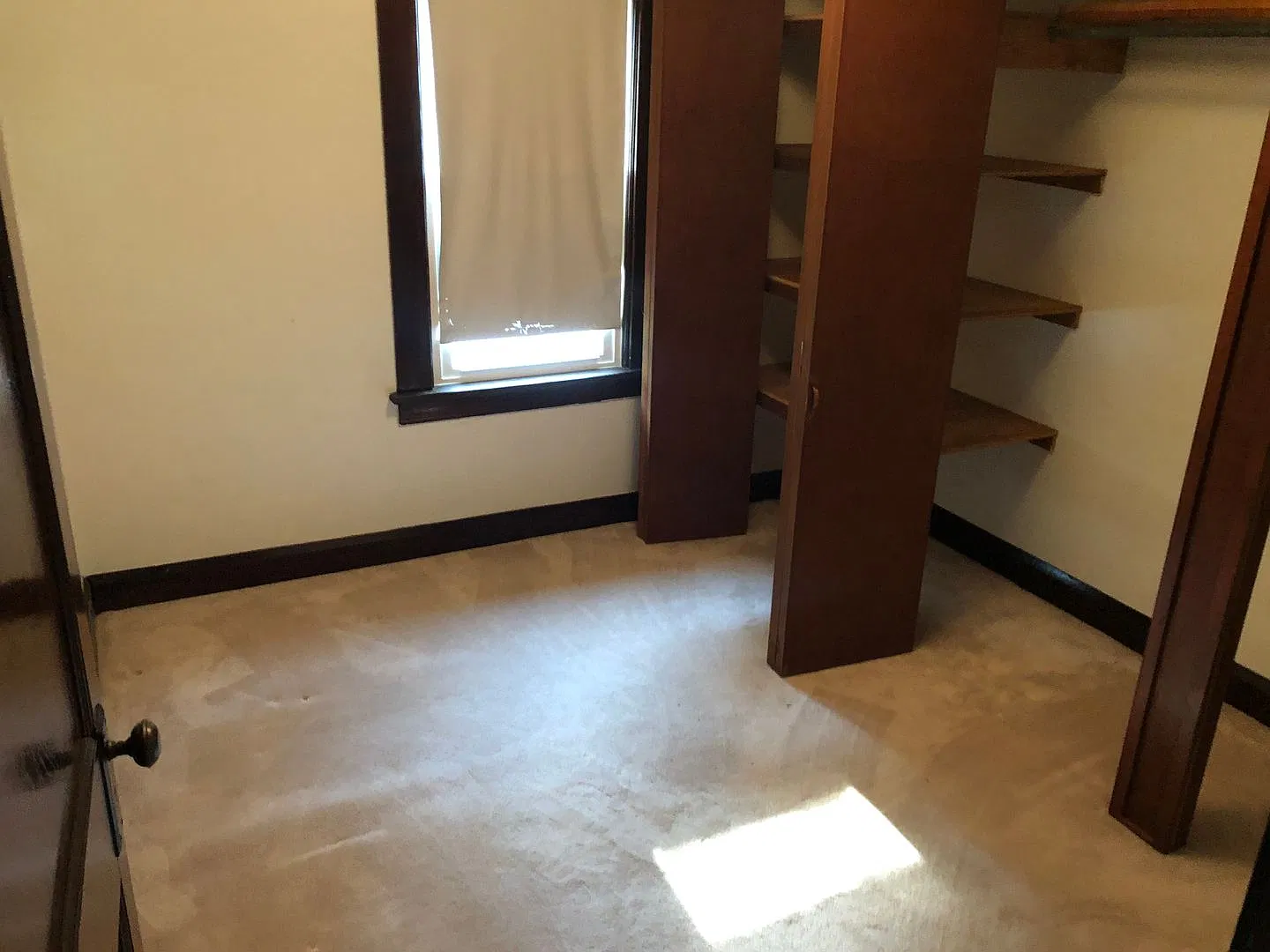55 Avalon Dr, Bedford, OH 44146 — Photo 3