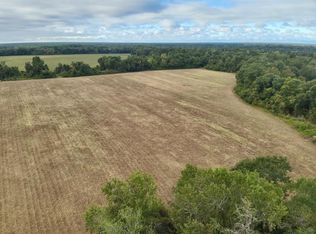 49/ACRE S Mount Zion Rd, Cottonwood, AL 36320