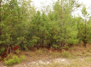 SE Olustee Dr, Lee, FL 32059