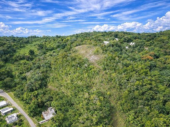 2nd image of State Highway 446 Km #7.5