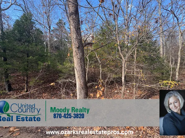 Crystal Oaks Trl Tract D, Gamaliel, AR 72537