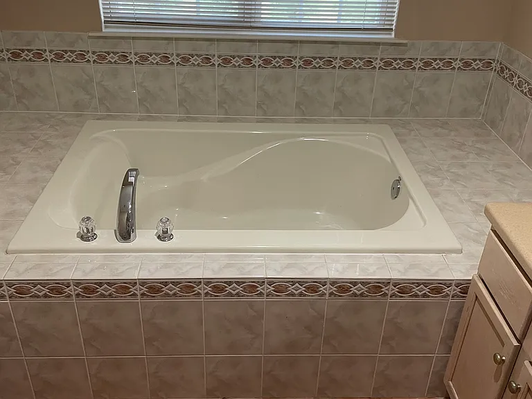 Master bathroom tub