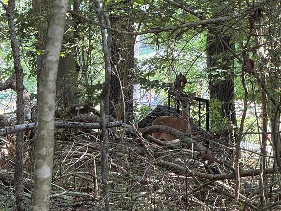 4th image of 3912 Windjammer Dr