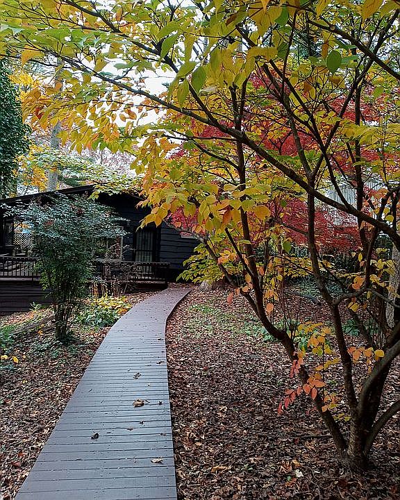 Wooden Walkway