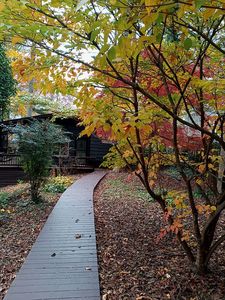 80 Appian Way, Arden, NC, 28704