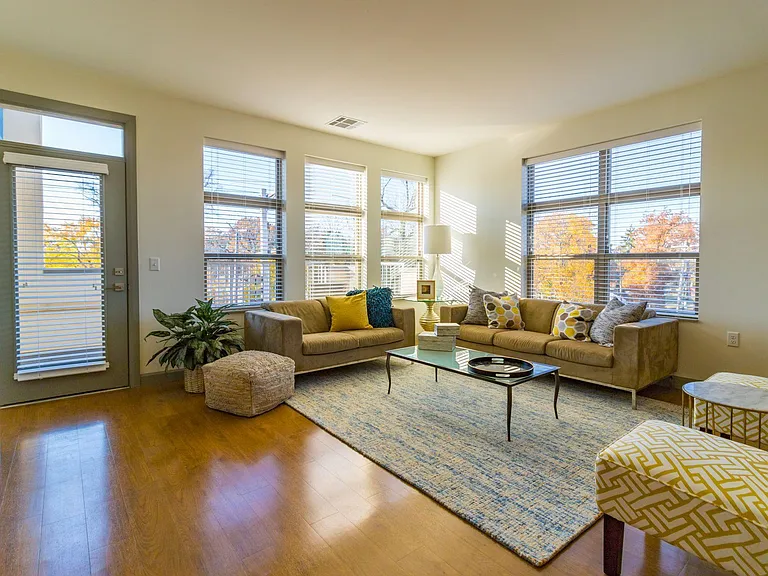 Dorothy penthouse living room