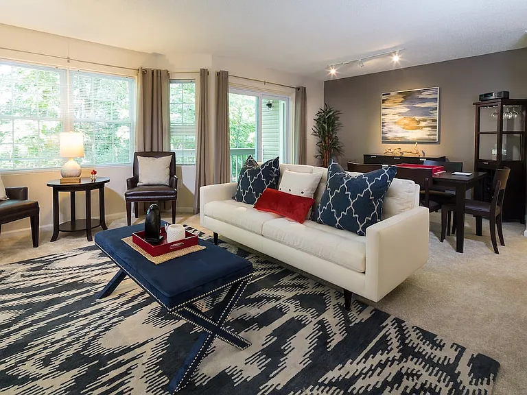 Classic Package living room with carpet