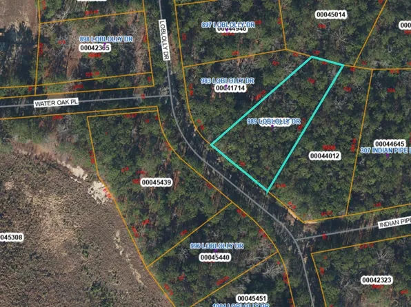 989 Loblolly Dr #326, Vass, NC 28394