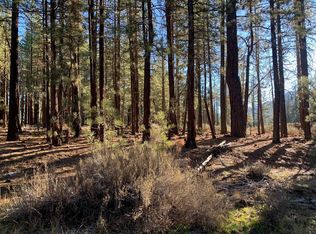 170 Grizzly Way, Portola, CA 96122