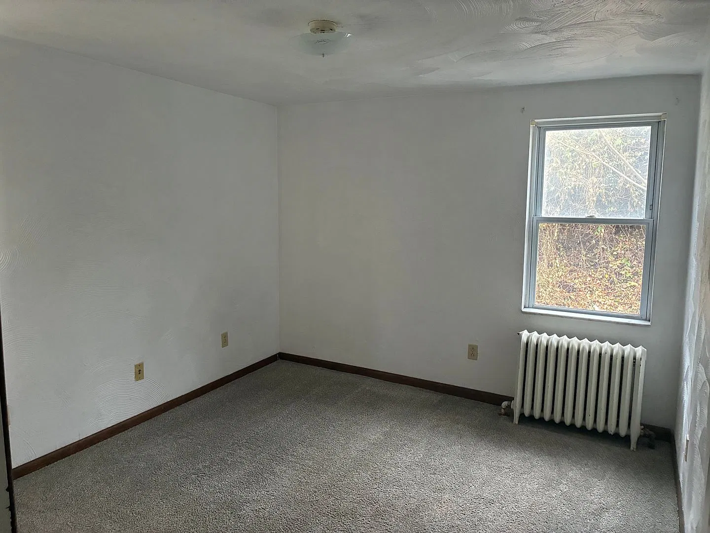 345 Coltart — Photo 4