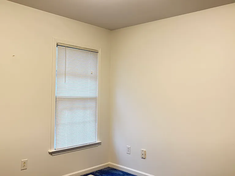 12 Willow Tree Ct — Photo 11