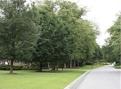 3rd image of 114 Huckleberry Ln