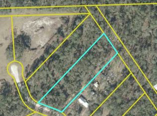 SW Oakdale Rd LOT 3, Mayo, FL 32066