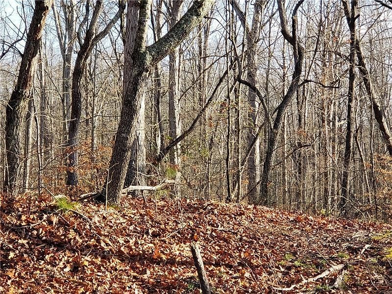 2nd image of 3663 Lebanon Church Rd #0