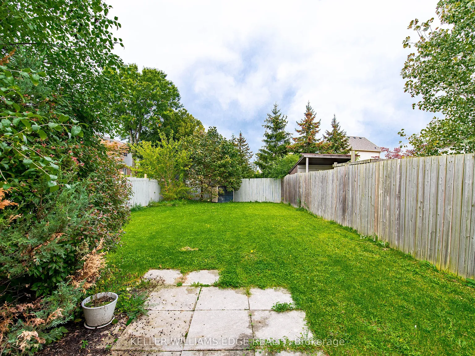 1 bed, $1,000 — Photo 4
