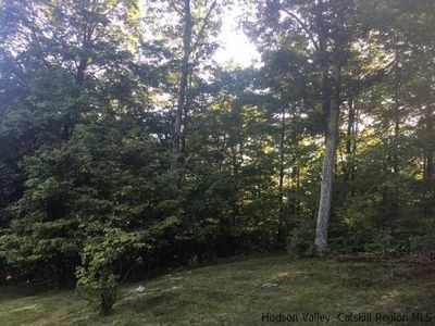 TBD Crescent Avenue, Plattekill, NY, 12568