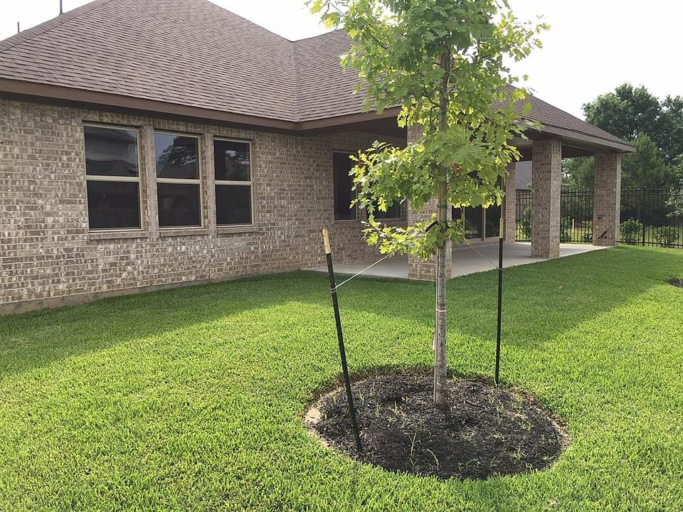 1st image of 62 Canopy Green Dr
