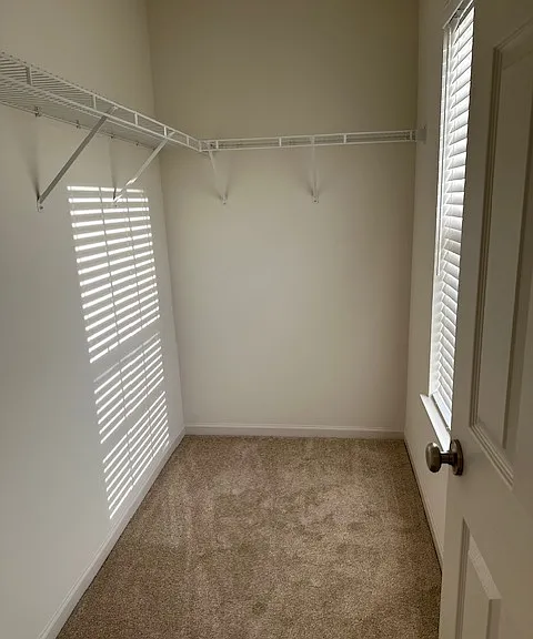 815 Brodhead Dr — Photo 10