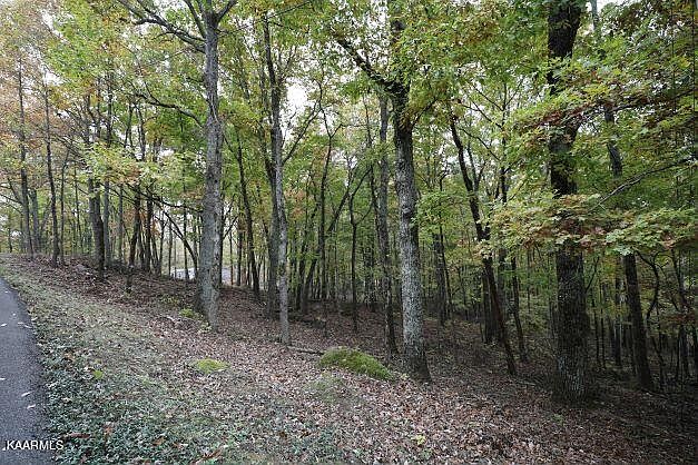 1st image of Oak Hill Ln