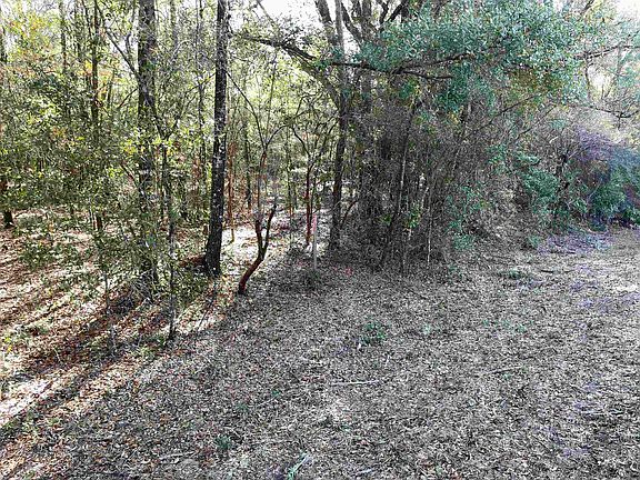 5th image of Coe Landing Rd