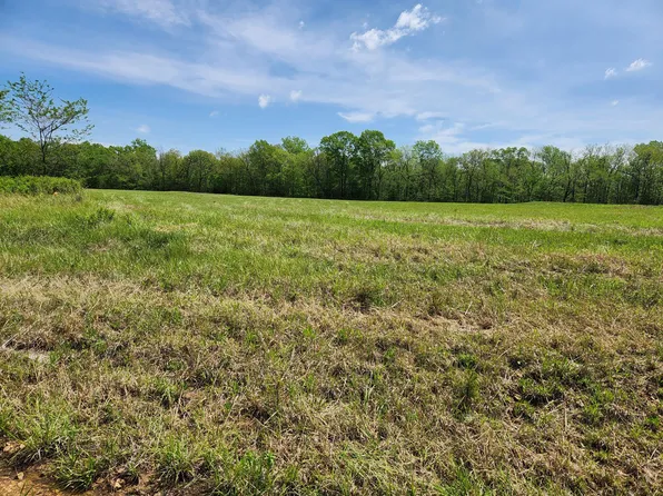 000 River Pass Drive Lot 6 Phase 2, Marshfield, MO 65706