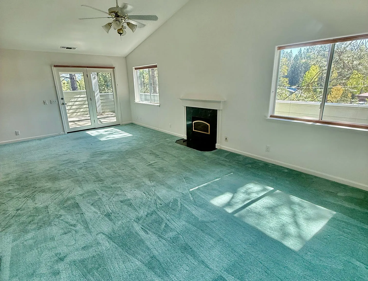 133 Argall Way - 1 - 1 — Photo 2