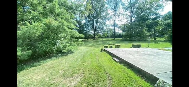 5 Mosley Acres — Photo 9