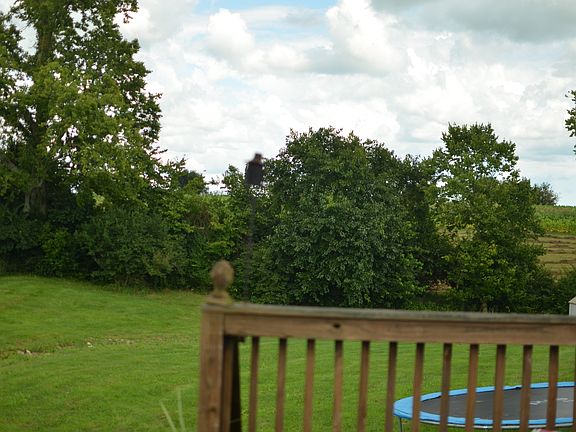 5th image of 255 Shelton Way
