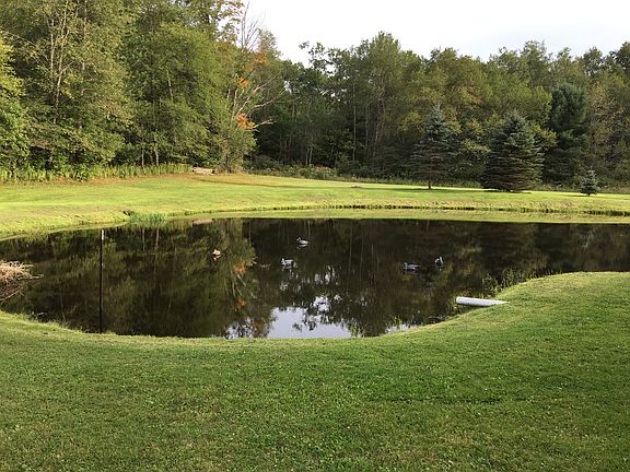 Spring fed stocked pond