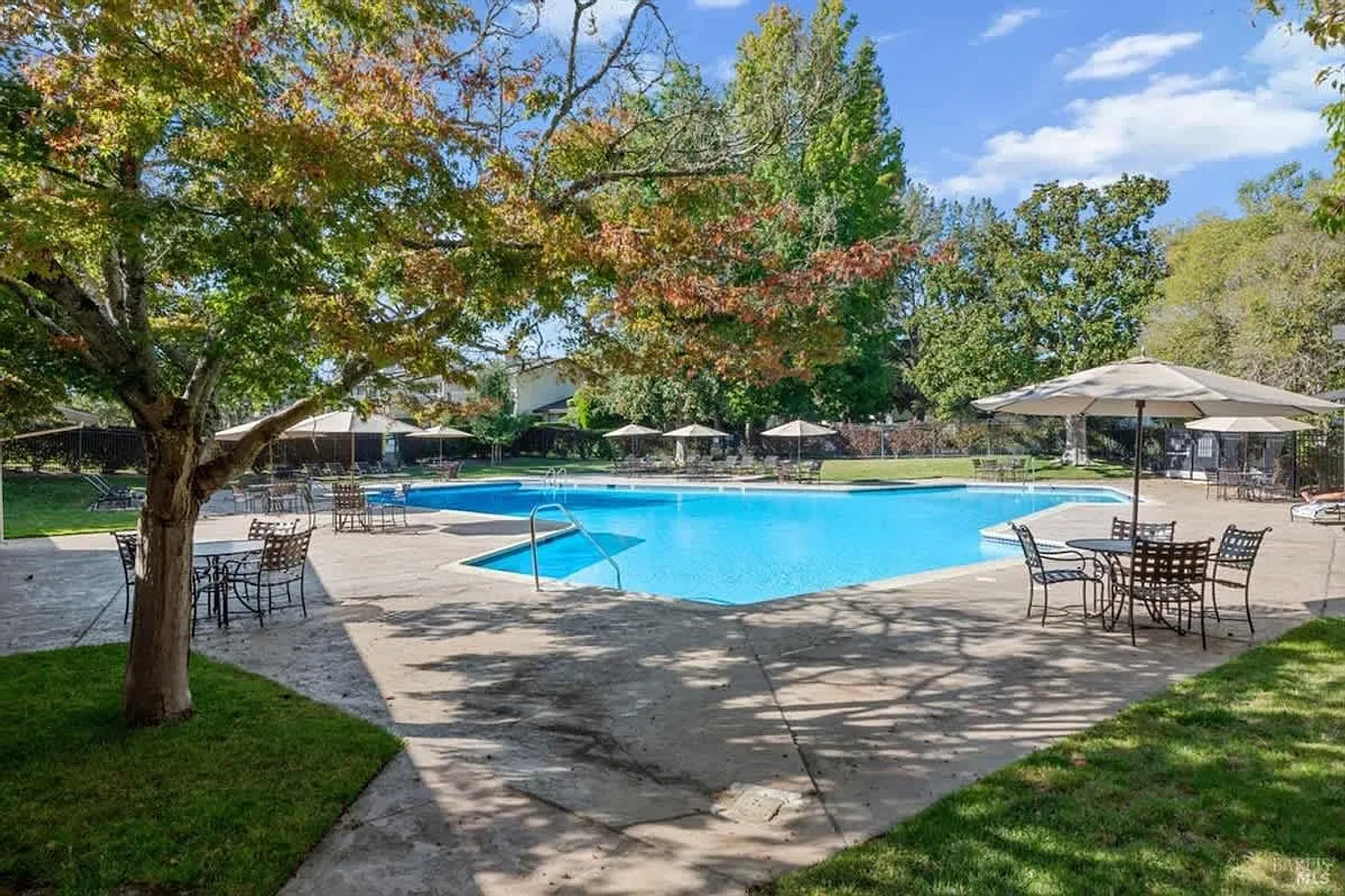 1 bed, 1.0 bath, 796 sqft, $8,271 — Photo 4