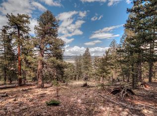70 Trout Creek Ln, Fairplay, CO 80440