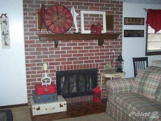 wood burning fireplace