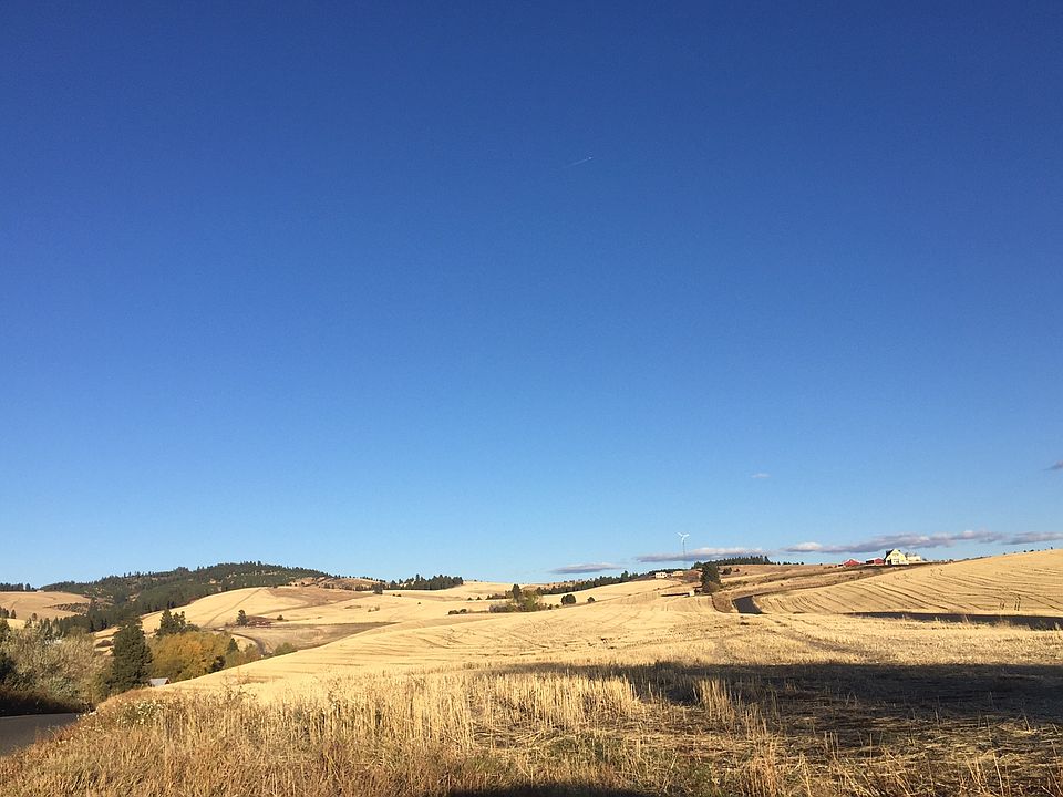2nd image of 000 Loess