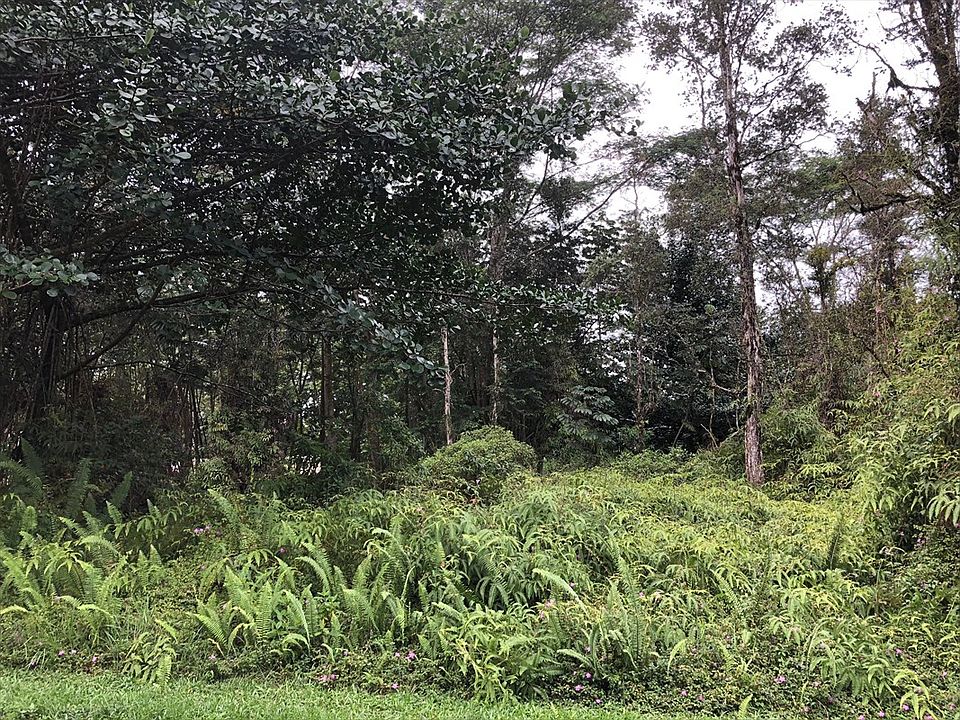 2nd image of Kapuna Rd Lot 1070