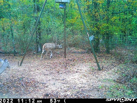 2nd image of 162 County Road 421