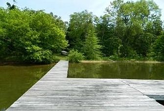 3rd image of 12407 Eustace Dr
